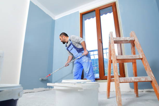 Mold Documentation for Insurance Claims in Amherst, WI