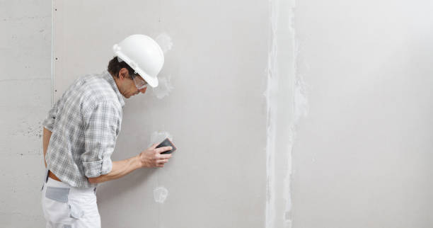 Best Industrial Mold Remediation  in Amherst, WI